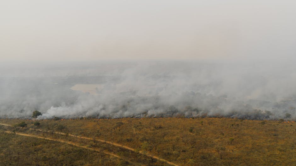 Incendiu devastator la Dragonul Roșu: Bucureștiul se confruntă cu poluare severă
