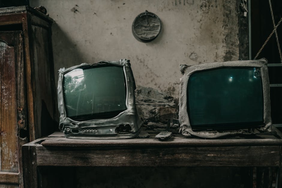 PRO TV sărbătorește 30 de ani de inovație în divertisment: Grila de toamnă te așteaptă!