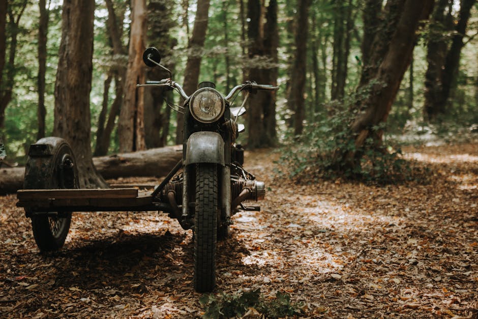 Călătoria captivantă a lui Mihai: Motocicliști pe urmele istoriei din Primul Război Mondial