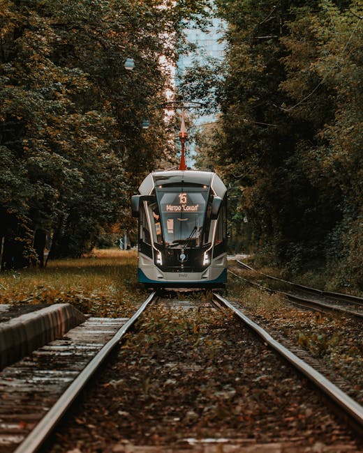 Oradea se modernizează: 17 autobuze electrice și tramvaie noi pe cale de livrare