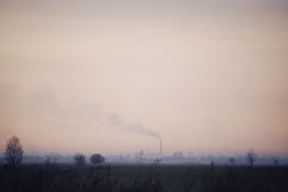Alertă de poluare în București după incendiul de la Dragonul Roșu