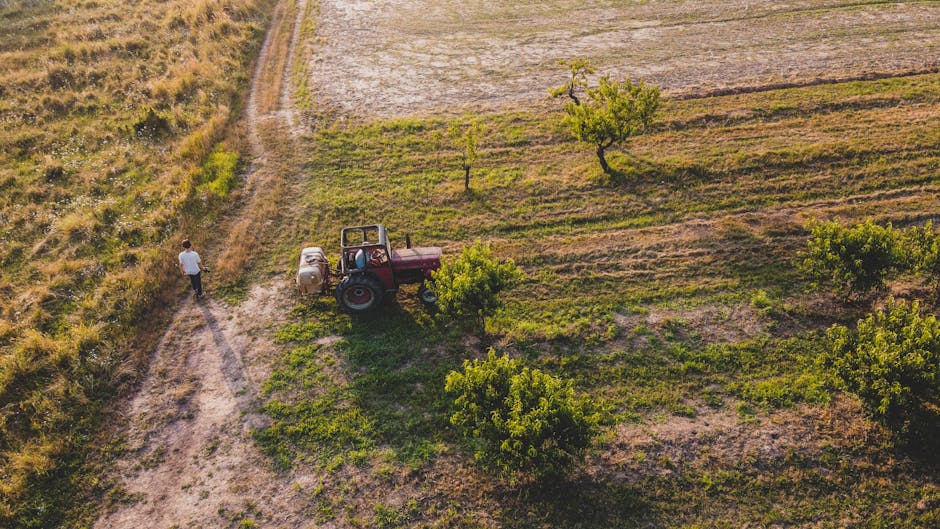 Compania Moldova Farming, sancționată cu 1,6 milioane lei pentru practici anticoncurențiale
