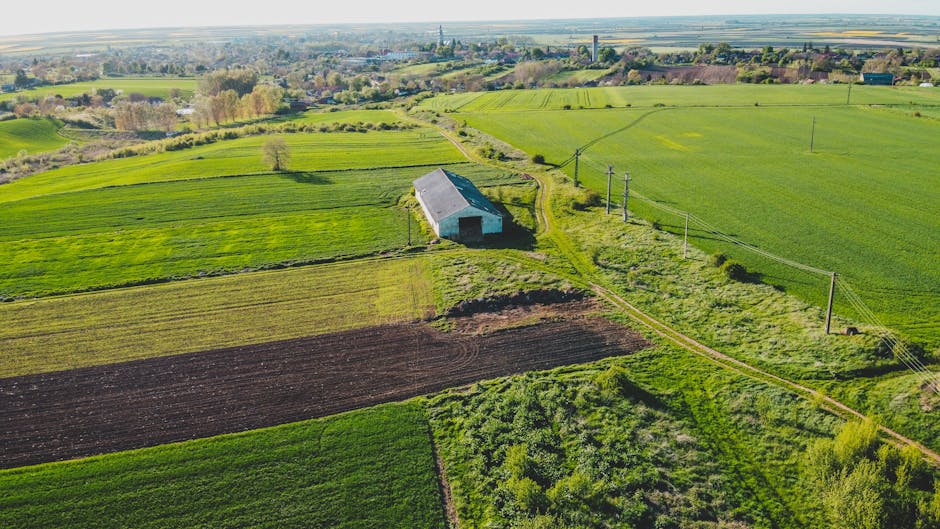 Ultima şansă pentru rentierii agricoli din Bihor: termen limită de vizare a carnetelor