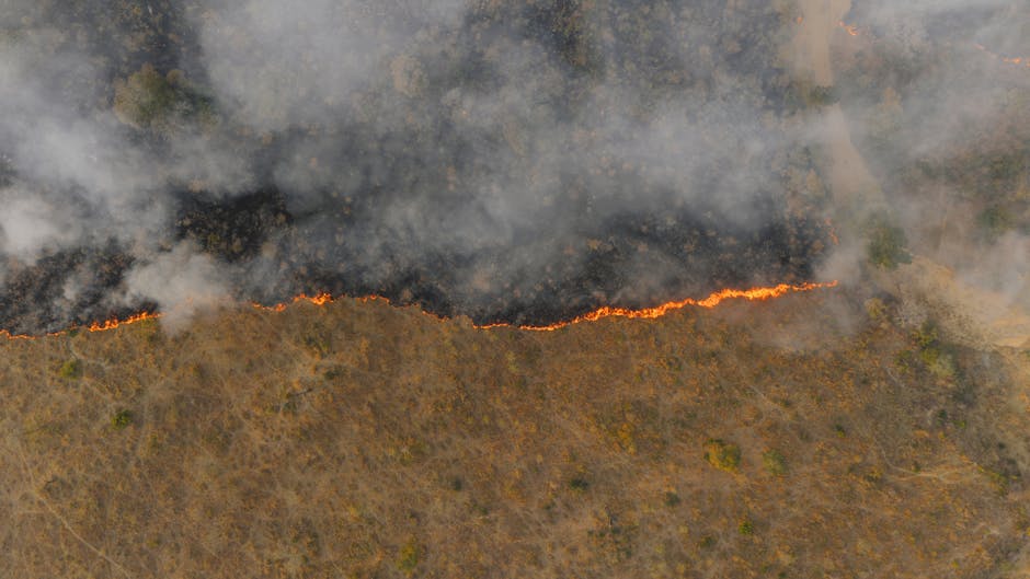 Incendiu devastator în apropierea Băilor Herculane: peste 400 de hectare distruse