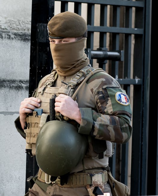 Germania își întărește apărarea cu un nou serviciu militar voluntar