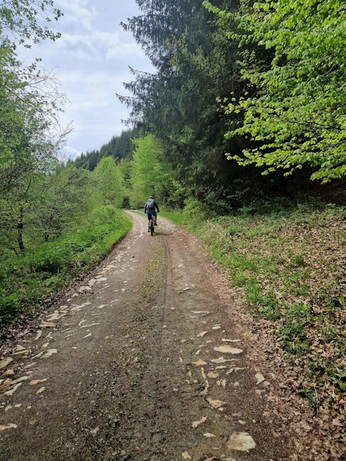 În memoria lui Viorel Grosu: un mentor dedicat ciclismului românesc