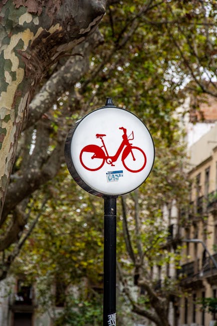 Extinderea pistelor de biciclete de pe malul Cibinului: noi pasarele și zone de relaxare în Sibiu