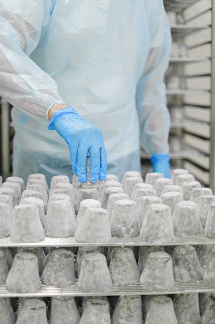 Verificări masive în industria băuturilor: amenzi de aproape 2 milioane de lei aplicate de ANPC