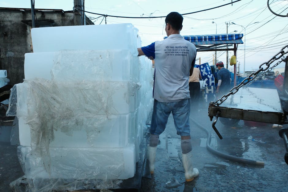Rata șomajului în Dâmbovița atinge 3,98% în iulie 2025