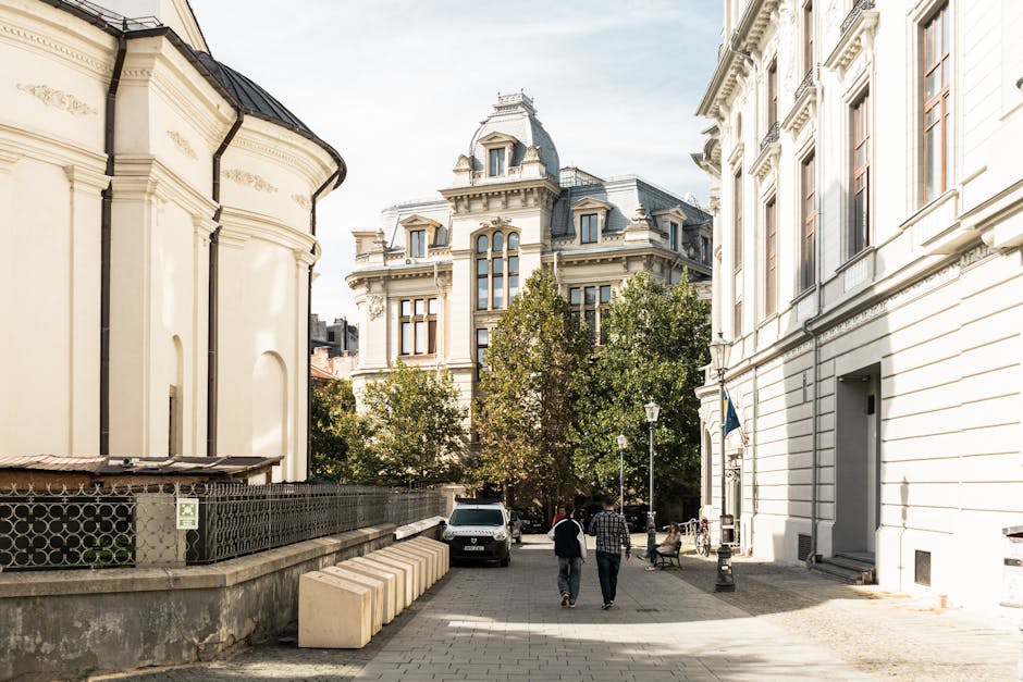 Grindeanu sugerează implicarea lui Nicușor Dan în alegerile din București