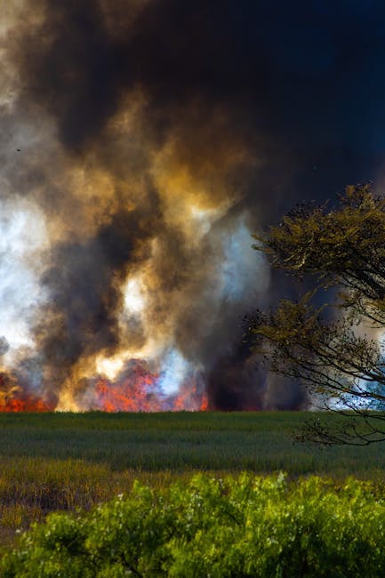 Incendii suspecte în Giurgiu: cine stă în spatele focului din zona Verigă?
