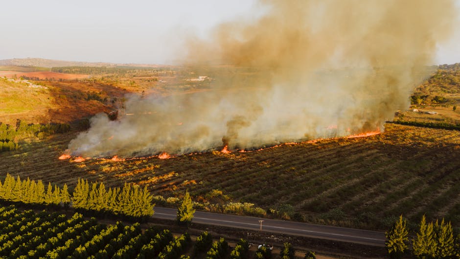 Incendiu devastator pe câmp: o combină agricolă distrusă de flăcări