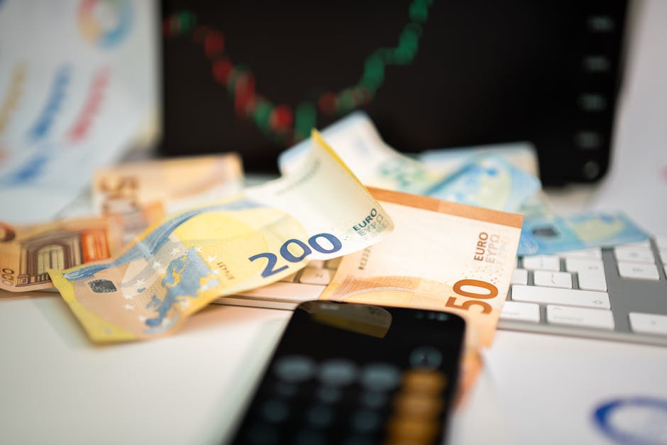 Europarlamentarul român atrage atenția asupra necesității unui buget UE mai mare
