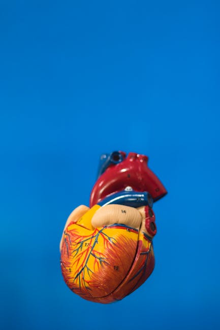 Doi medici din Târgu Jiu, în fruntea inovațiilor la Congresul Național de Cardiologie