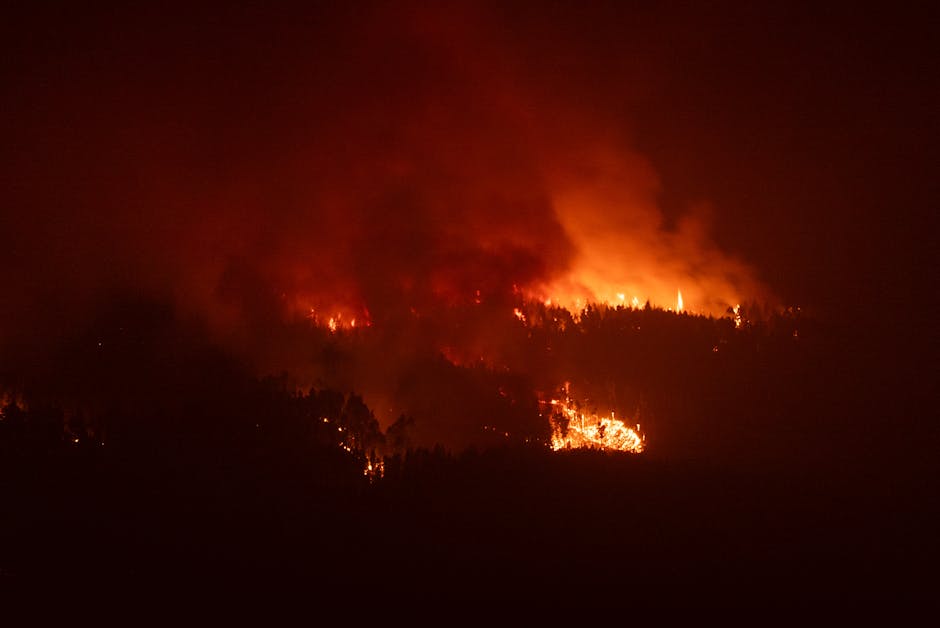 Vreme extremă în Europa: incendiile din Spania și furtunile devastatoare din Italia