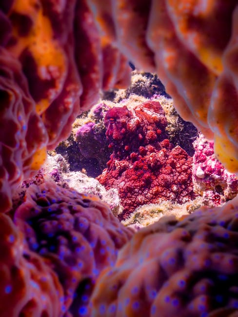 Descoperirea surprinzătoare: un vierme din adâncurile oceanului produce un pigment galben folosit de artiști