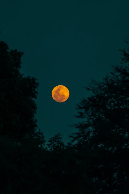 Descoperă eclipsa totală de lună sângerie din 7 septembrie 2025: cum o poți urmări în direct