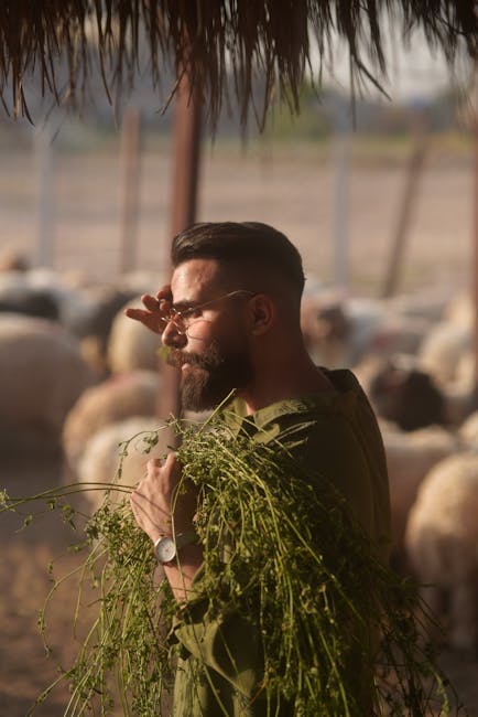 Descoperă barbershop-ul rural: o experiență inedită în inima naturii
