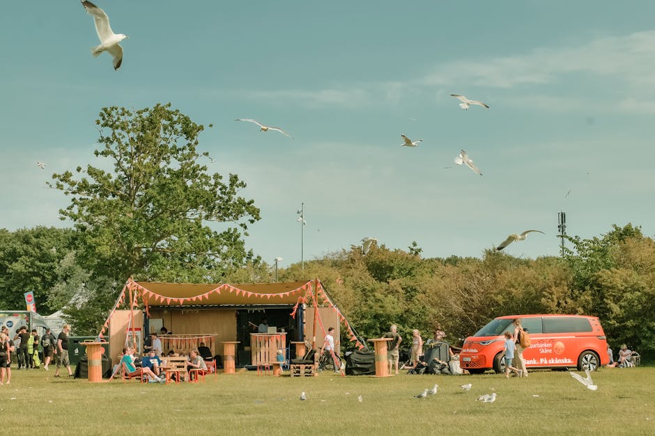 Codru Festival 2025: O experiență muzicală de neuitat în inima naturii!