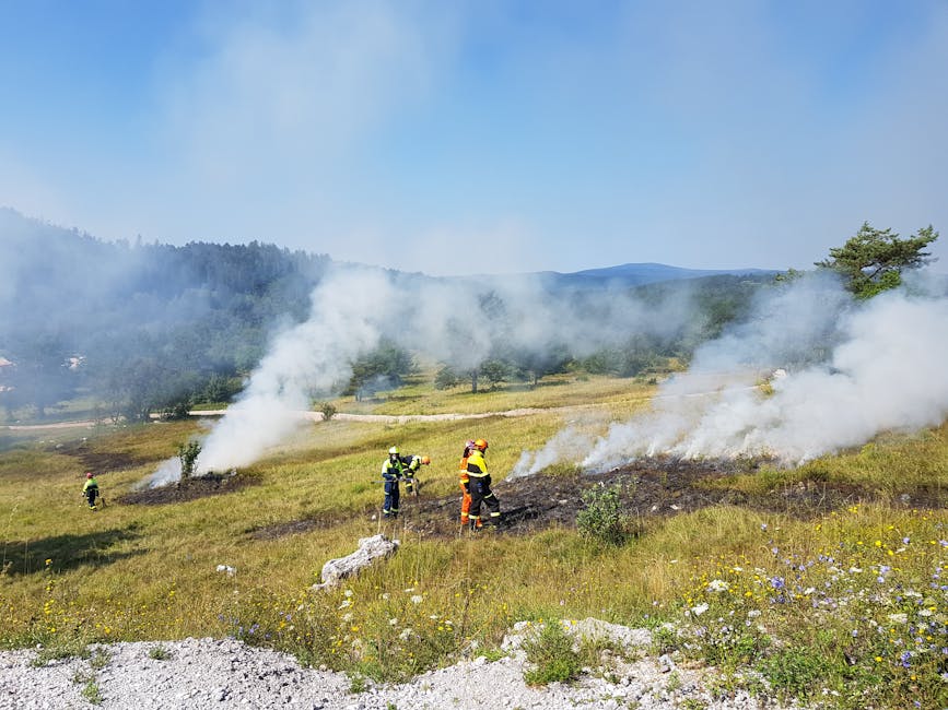 Incendiu de pădure în Câineni: pompierii se luptă cu trei focare în apropierea Mănăstirii Boia