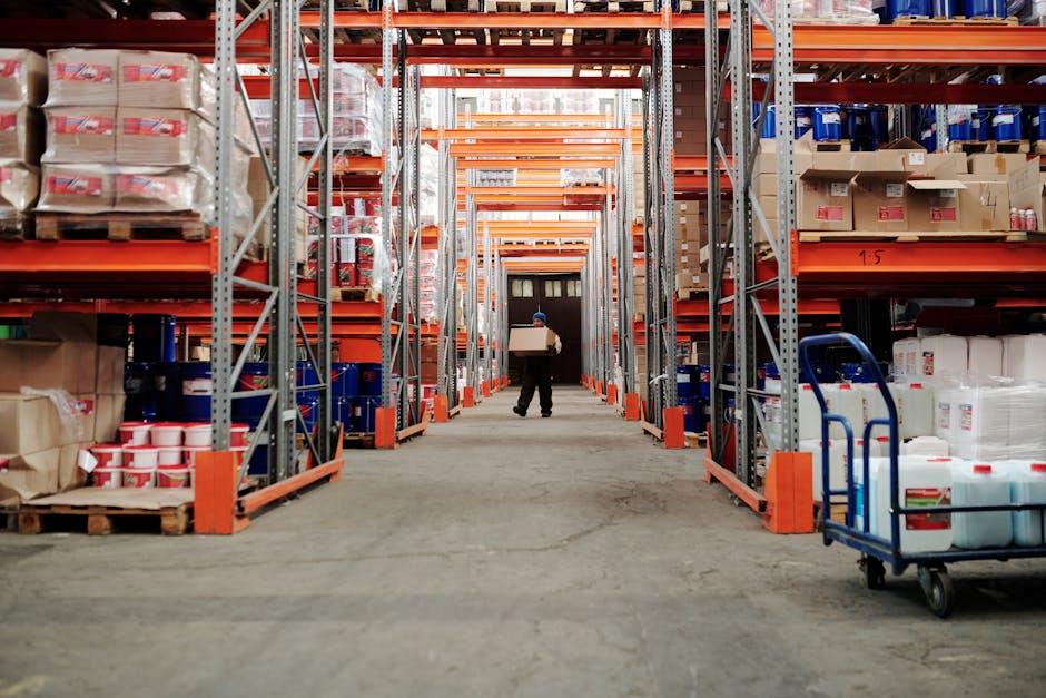Oportunitate de carieră: Cotidianul Zi de Zi caută specialist în logistică