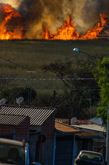 Incendiu devastator în Sebiș: Flăcările amenință locuințele și terenul de sport