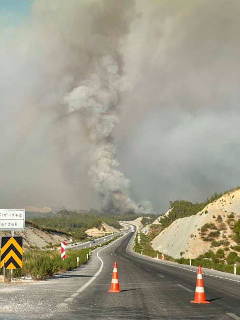 Incendiu devastator de vegetație la Decebal: trafic perturbat de fumul dens