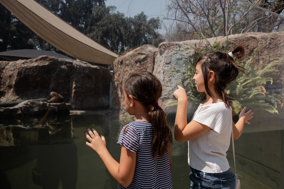 Participă la Ziua Internațională a Primatelor la Zoo Brașov!