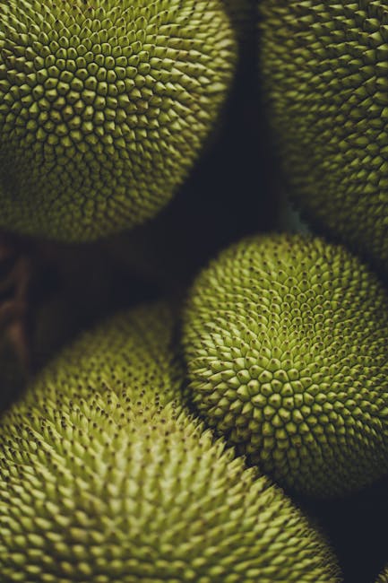 Descoperă jackfruit: fructul exotic care îți va transforma mesele