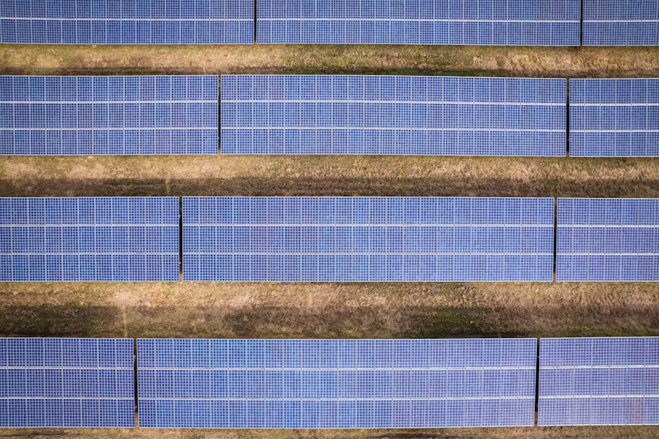 Cum o lucrare de licență a generat un parc solar de 460 de milioane de euro