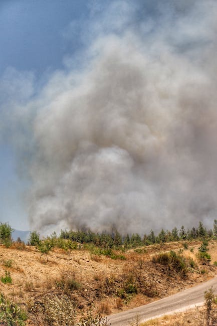 Incendiu devastator în Satu Mare: Fumul se vede de la distanță!
