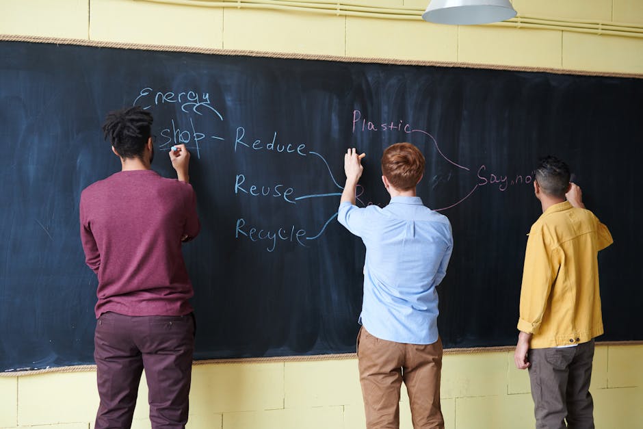 Experiența practică și internshipurile de la Azomureș: o oportunitate pentru tineri