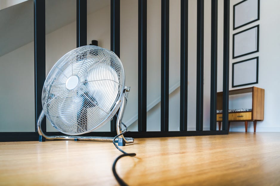 România se pregătește pentru veri extreme: până în 2050, temperaturi record de 50 de grade Celsius
