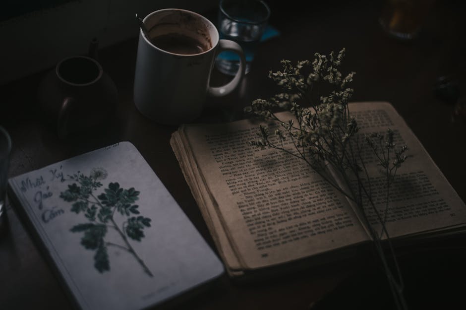 Descoperă toamna poetului: reflecții asupra timpului și creației