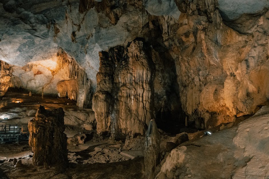 Descoperiri fascinante sub picioarele noastre: o lume ascunsă plină de viață