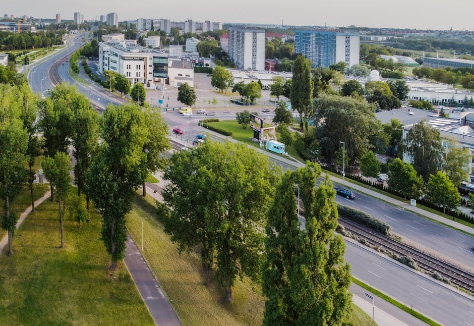 Un nou campus educațional în Bucium: Consilierii locali aprobă un proiect ambițios pe 24 de hectare