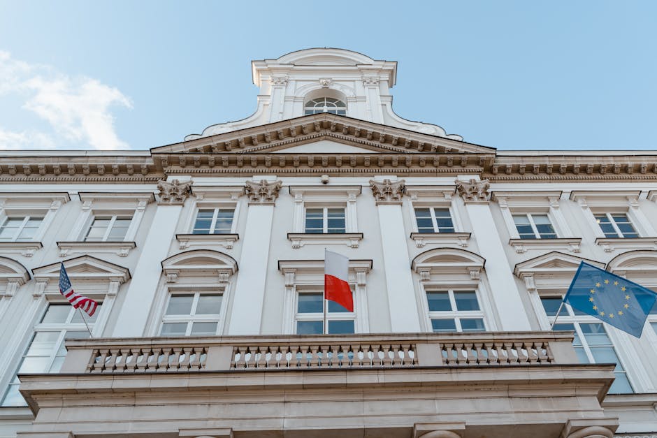 Olimpicii internaționali explorează comorile culturale ale Hunedoarei