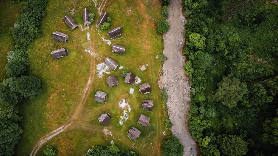 Destinațiile ecoturistice din România: un sistem în criză?