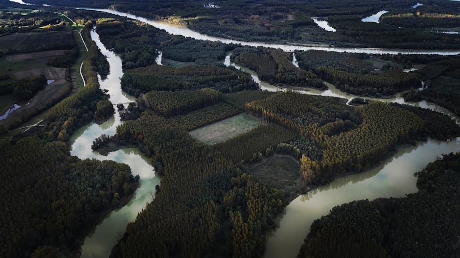 Delta Dunării se confruntă cu o criză ecologică fără precedent
