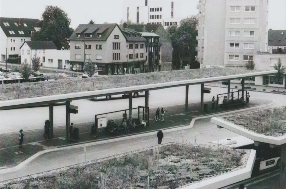 Măsuri esențiale pentru îmbunătățirea infrastructurii în Mateești