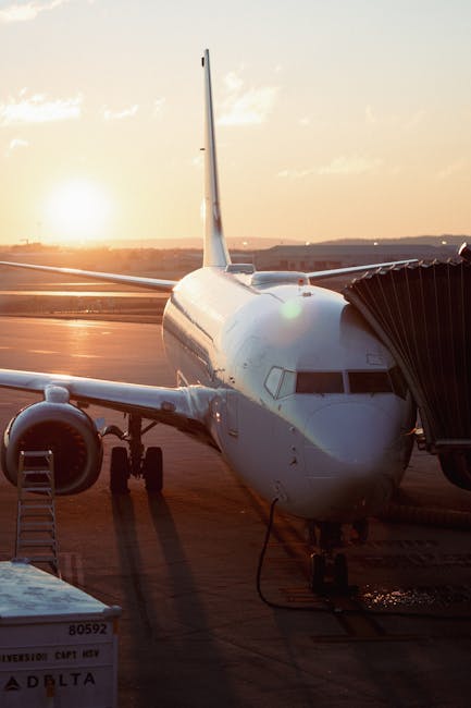Delta Dunării: Aeroportul din Tulcea primește 61 de curse charter în septembrie