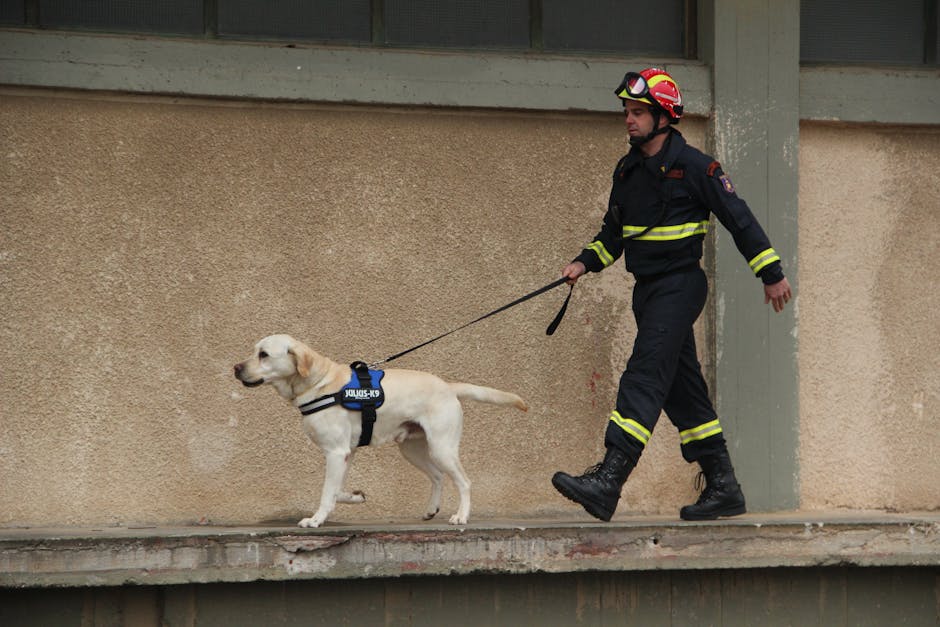 Pompierii români, în misiune de salvare în Grecia pentru stingerea incendiilor