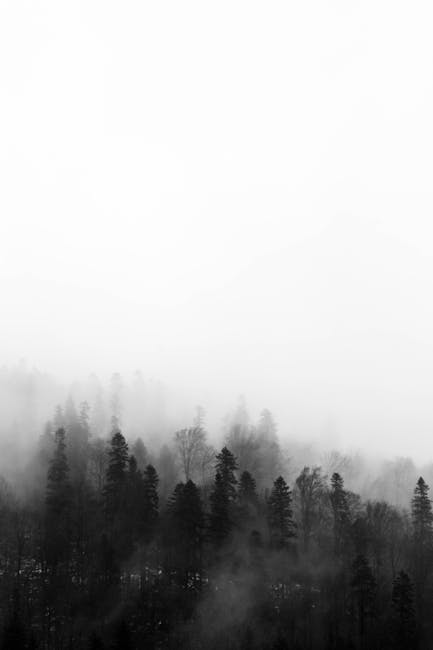 Descoperirea unei noi generații de capre negre în Munții Rodnei