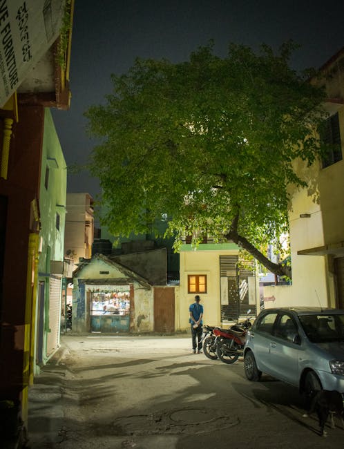 Întreținerea rețelei electrice aduce întreruperi temporare în Bătești