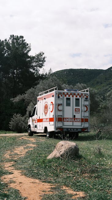 Tragedie la o stână din Suceava: un bărbat de 62 de ani refuză ajutorul medical și moare