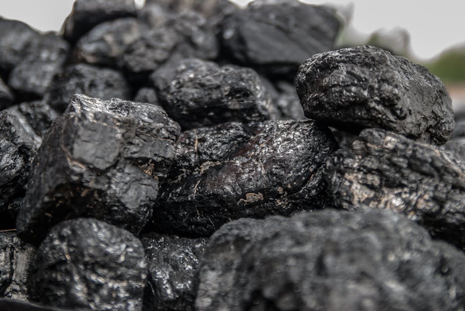 Ajutoare financiare pentru energia cu combustibili solizi: detalii esențiale pentru locuitorii din Deva