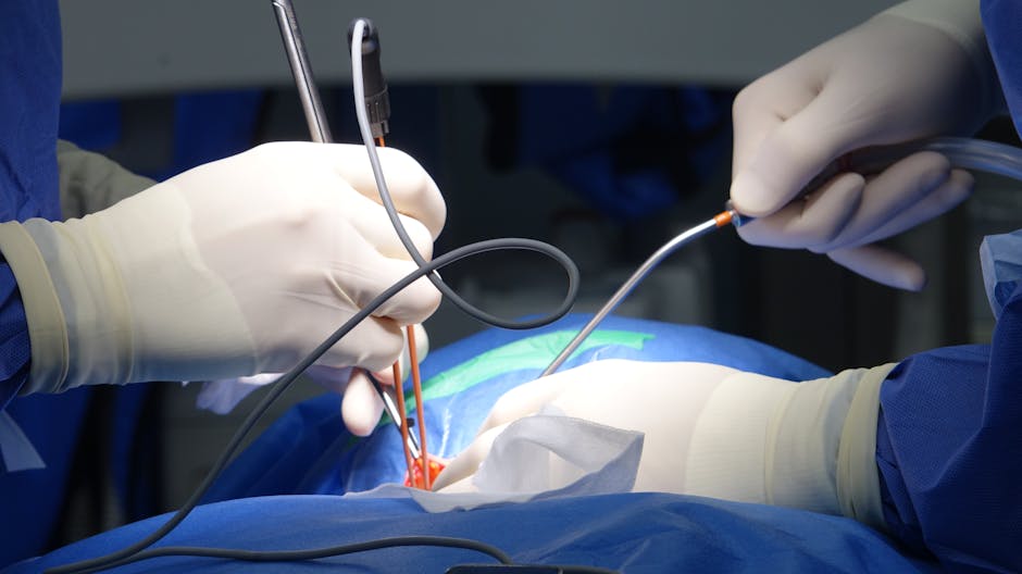 Inovație medicală la Spitalul Floreasca: o valvă biologică implantată fără oprirea inimii