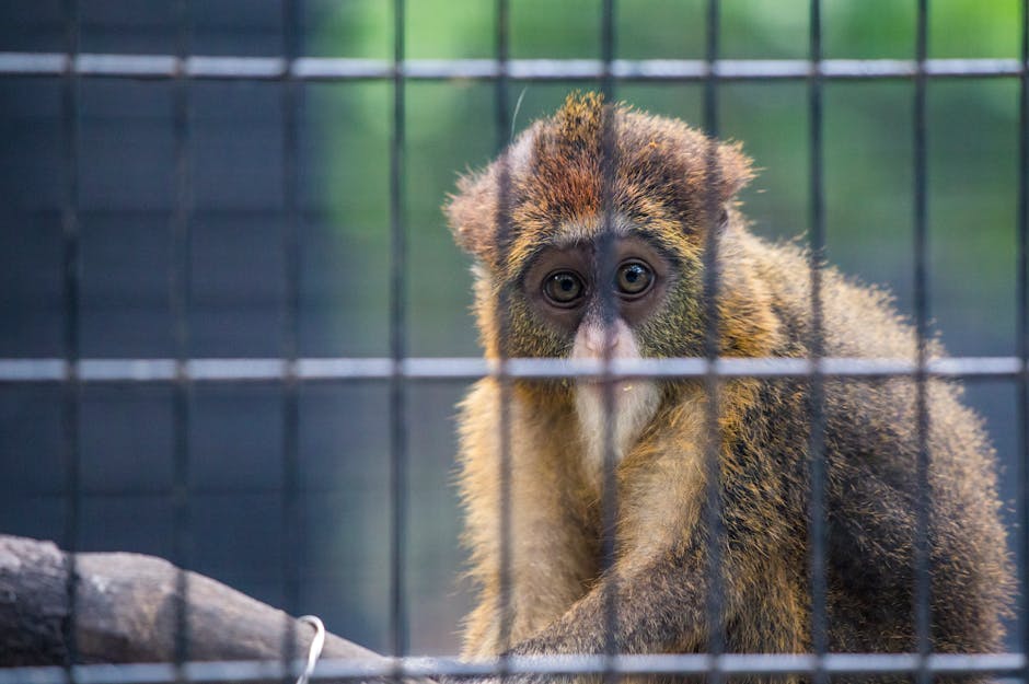 Grădina Zoologică din Târgu Mureș își închide temporar holul Casei Verzi pentru lucrări de întreținere