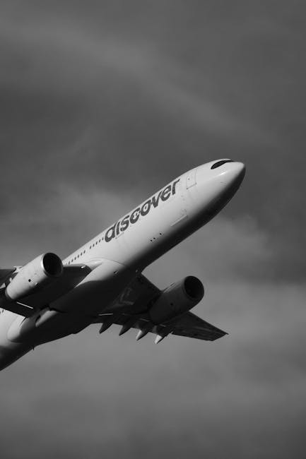 Scandal pe Aeroportul Otopeni: un pasager beat a fost reținut după comportament agresiv