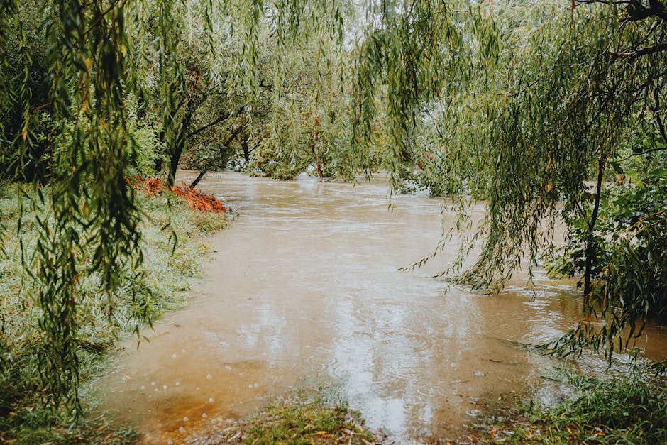 Atenționare meteo: viituri pe râuri din 19 județe, inclusiv Arad